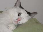 02009-Annas Bilder-135
