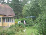 02009-Annas Bilder-142