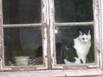 02009-Annas Bilder-159