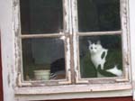 02009-Annas Bilder-160