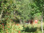 02009-Annas Bilder-166