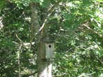02009-Annas Bilder-176