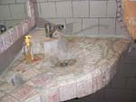 02009-Annas Bilder-274