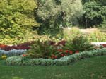02009-Annas Bilder-289