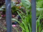 110516-23-New York-A-003