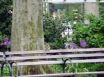110516-23-New York-A-019