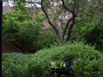 110516-23-New York-A-070