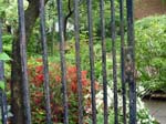 110516-23-New York-A-071