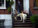 110516-23-New York-A-074