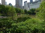 110516-23-New York-A-193