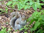 110516-23-New York-A-207