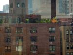 110516-23-New York-A-218
