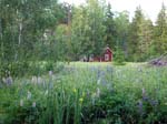 110624-25-Midsommar-036