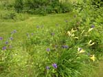 110624-25-Midsommar-049