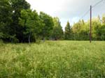 110624-25-Midsommar-061