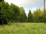 110624-25-Midsommar-062