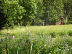 110624-25-Midsommar-075