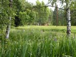110624-25-Midsommar-078