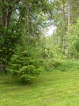 110624-25-Midsommar-090