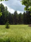 110624-25-Midsommar-095