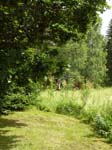 110624-25-Midsommar-096
