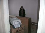 Misc-0402-008