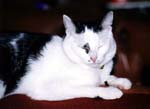 Peking-Julen2003-003