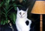 Peking-Julen2003-010