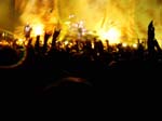 020826-Korn-Globen-001