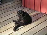 040629-Värmdö-003