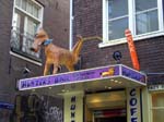050930-Holland-Marcus-008