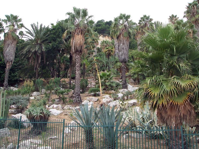 061006-09-Barcelona-038