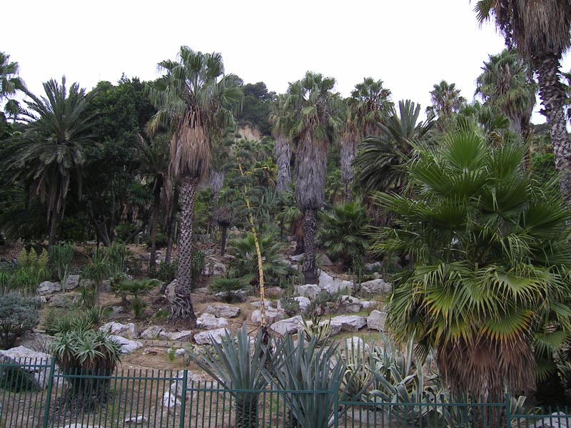 061006-09-Barcelona-Jocke-042