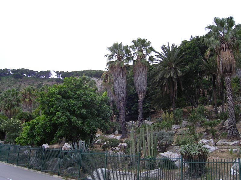 061006-09-Barcelona-Jocke-043