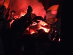 060503-Bajen-Råttorna-026