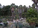 061006-09-Barcelona-Jocke-042