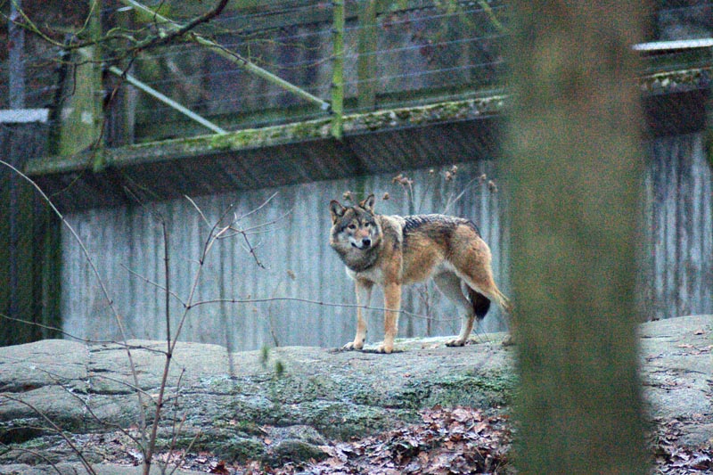 071215-Skansen-007