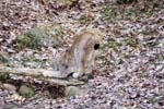 071215-Skansen-018