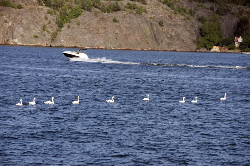 080729-Fjäderholmarna-034