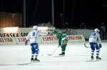 080229-Bajen-Villa-028
