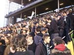 080414-Bajen-Råtta-009