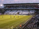 080414-Bajen-Råtta-011