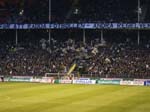 080414-Bajen-Råtta-016
