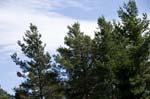080714-16-Gävle-005
