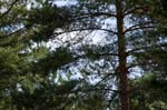 080714-16-Gävle-007
