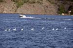 080729-Fjäderholmarna-034