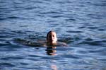 080729-Fjäderholmarna-051