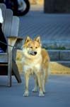 080729-Fjäderholmarna-066