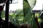 080914-Bajen-Kalmar-007