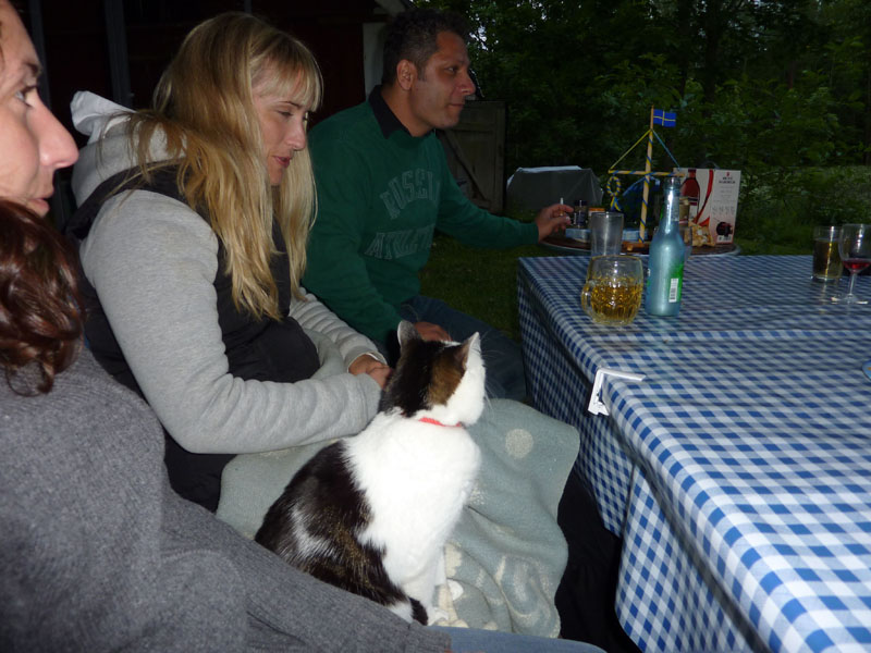 090619-Midsommar-019